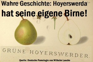 Wahre Geschichte: Hoyerswerda hat seine eigene Birne!