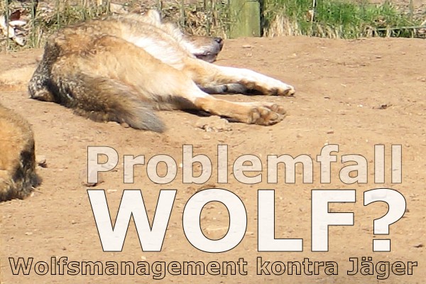Problemfall Wolf? Wolfmanagement contra Jäger
