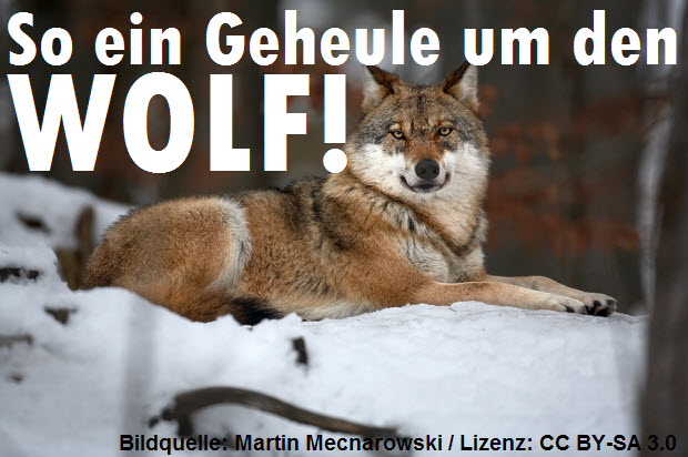 So ein Geheule um den Wolf!