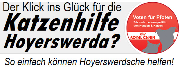 Der Klick ins Glück für die Katzenhilfe Hoyerswerda? So einfach können Hoyerswerdsche helfen! Der Klick ins Glück für die Katzenhilfe Hoyerswerda? So einfach können Hoyerswerdsche helfen!