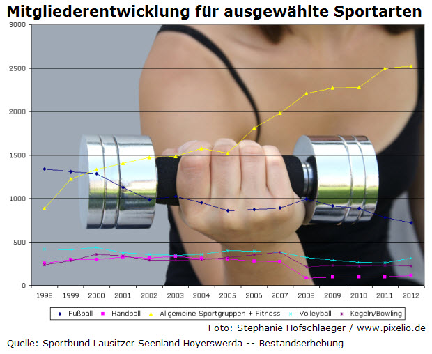 Mitgliederentwicklung für ausgewählte Sportarten von 1998-2012
