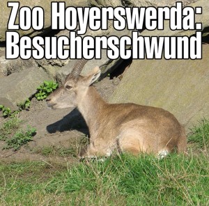 Zoo Hoyerswerda: Besucherschwund