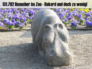 131.762 Besucher im Zoo Hoyerswerda - Rekord und doch viel zu wenig!