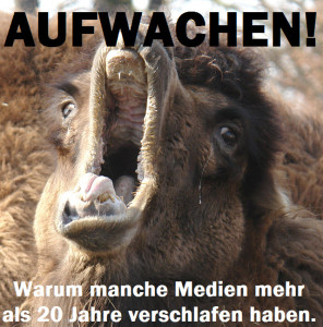 Aufwachen! Warum manche Medien mehr als 20 Jahre verschlafen haben. Spätestens seit 1994 nimmt Hoyerswerda auch Asylbewerber auf.