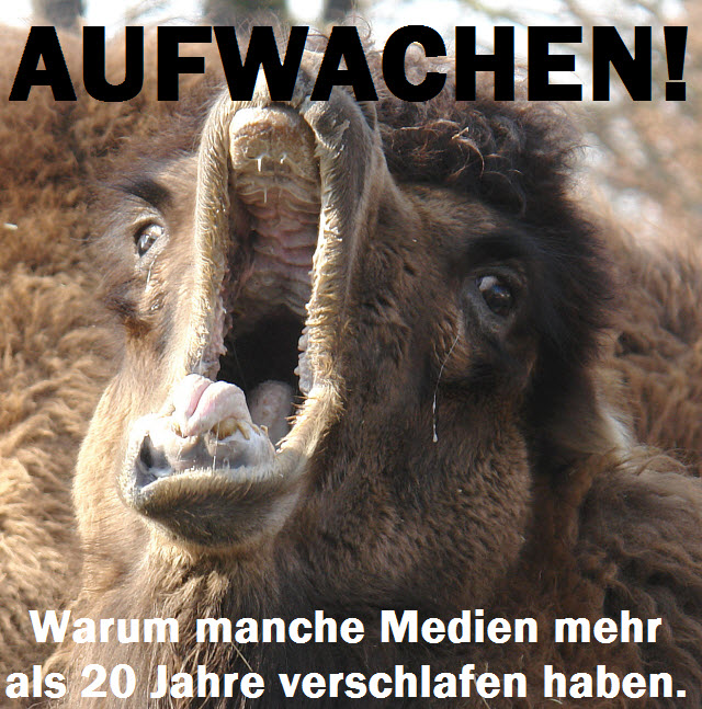 Aufwachen! Warum manche Medien mehr als 20 Jahre verschlafen haben.  Spätestens seit 1994 nimmt Hoyerswerda auch Asylbewerber auf.